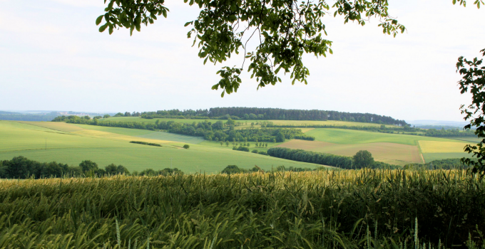 ogm panorama hausgiebel 01